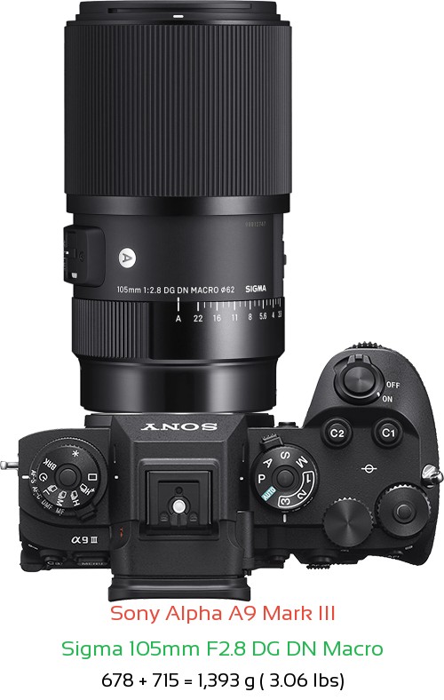 Sony A9 III with Sigma 105mm F2.8 DG DN Macro Lens Size
