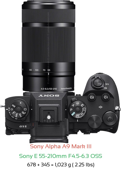 Sony A9 III with Sony E 55-210mm F4.5-6.3 OSS Lens Size