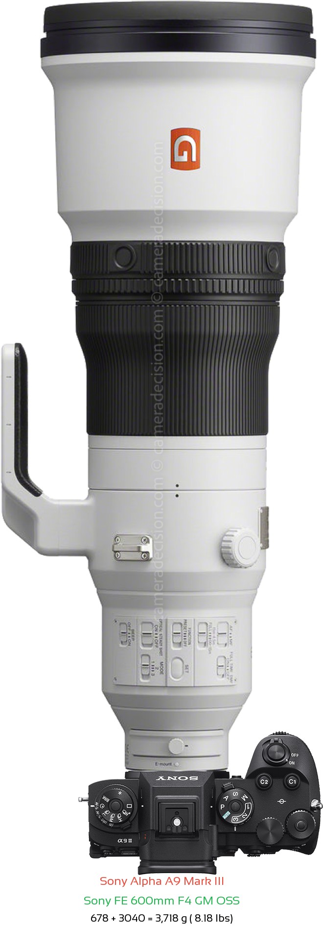 Sony A9 III with Sony FE 600mm F4 GM Lens Size