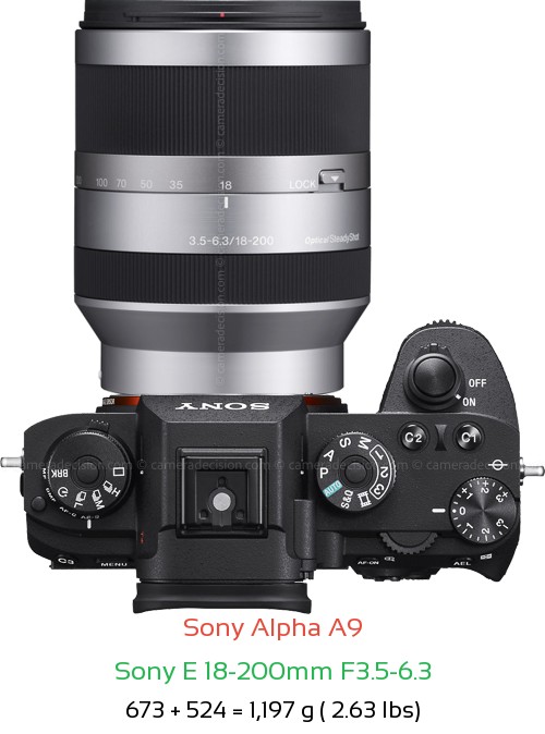 Sony A9 with Sony E 18-200mm F3.5-6.3 Lens Size