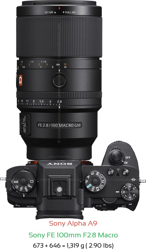 Sony A9 with Sony FE 100mm F2.8 Macro Lens Size