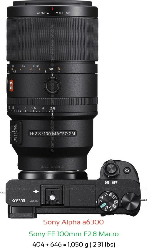 Sony A6300 with Sony FE 100mm F2.8 Macro Lens Size