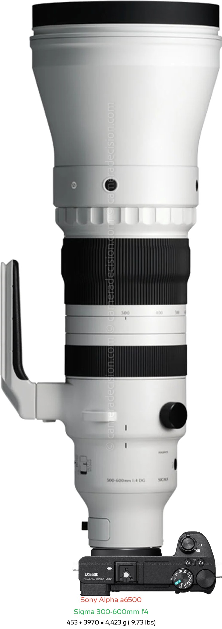 Sony A6500 with Sigma 300-600mm f4 Lens Size