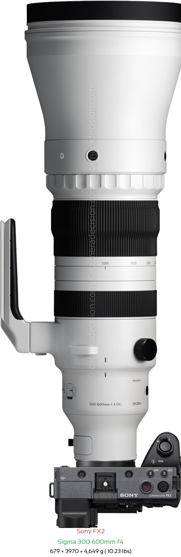 Sony FX2 with Sigma 300-600mm f4 Lens Size