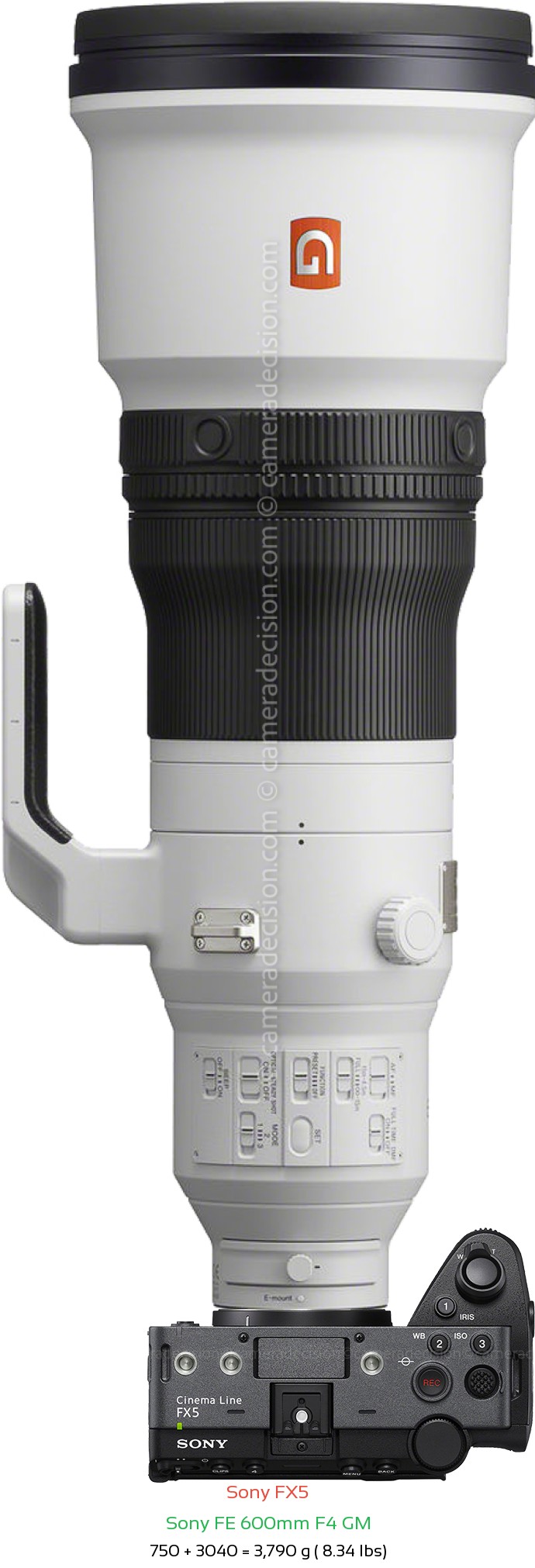 Sony FX5 with Sony FE 600mm F4 GM Lens Size
