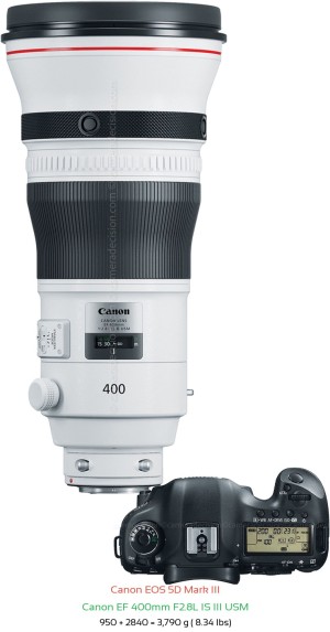Canon 5D MIII with Canon EF 400mm F2.8L IS III USM Lens Size