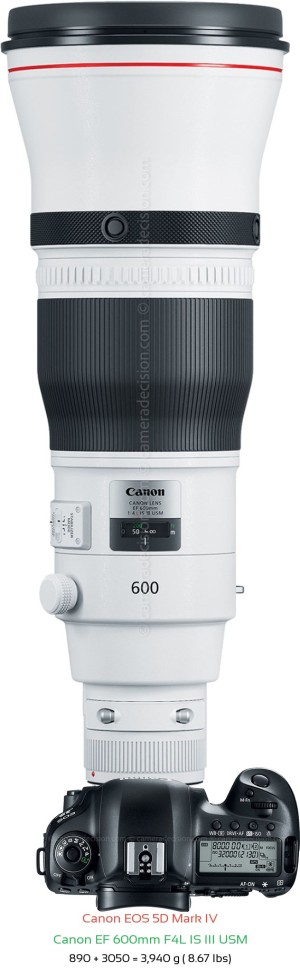 Canon 5D MIV with Canon EF 600mm F4L IS III USM Lens Size