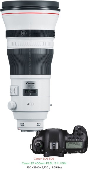 Canon 5DS with Canon EF 400mm F2.8L IS III USM Lens Size