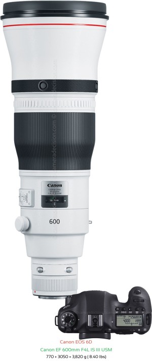 Canon 6D with Canon EF 600mm F4L IS III USM Lens Size