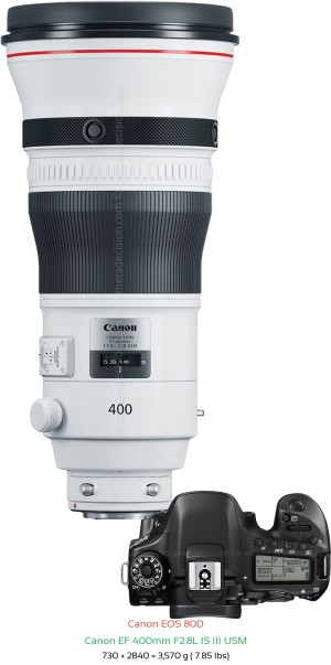Canon 80D with Canon EF 400mm F2.8L IS III USM Lens Size