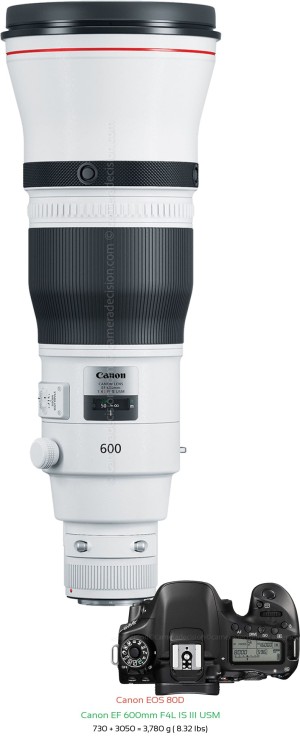 Canon 80D with Canon EF 600mm F4L IS III USM Lens Size