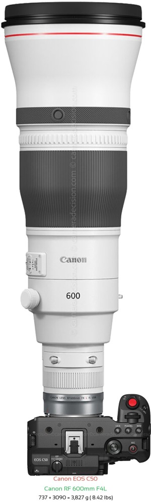 Canon C50 with Canon RF 600mm F4L Lens Size