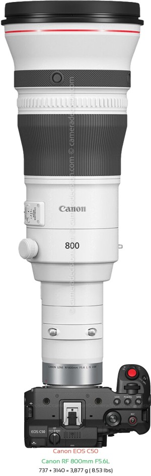 Canon C50 with Canon RF 800mm F5.6L Lens Size