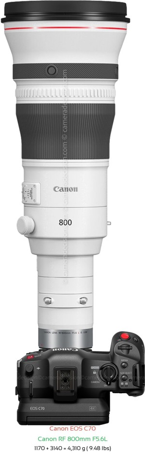 Canon EOS C70 with Canon RF 800mm F5.6L Lens Size