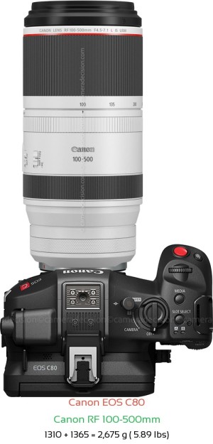 Canon EOS C80 with Canon RF 100-500mm Lens Size