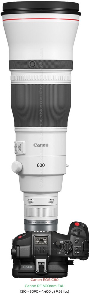 Canon EOS C80 with Canon RF 600mm F4L Lens Size