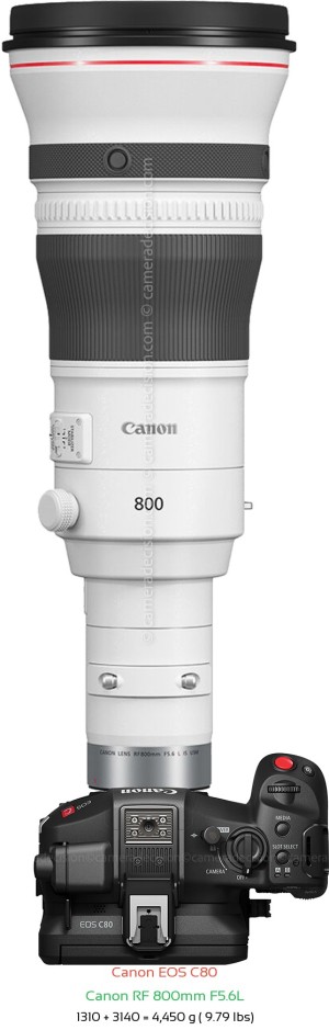 Canon EOS C80 with Canon RF 800mm F5.6L Lens Size