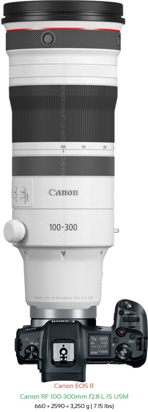 Canon R with Canon RF 100-300mm f2.8 Lens Size