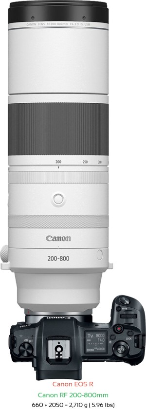 Canon R with Canon RF 200-800mm Lens Size