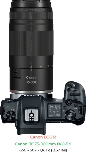 Canon R with Canon RF 75-300mm f4.0-5.6 Lens Size