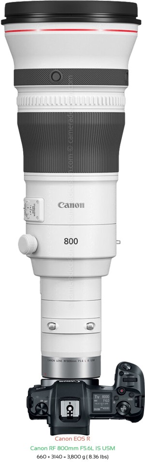 Canon R with Canon RF 800mm F5.6L Lens Size