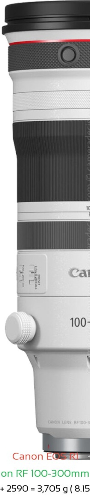 Canon R1 with Canon RF 100-300mm f2.8 Lens Size
