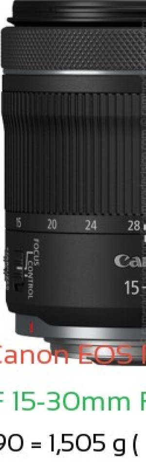Canon R1 with Canon RF 15-30mm F4.5-6.3 IS Lens Size