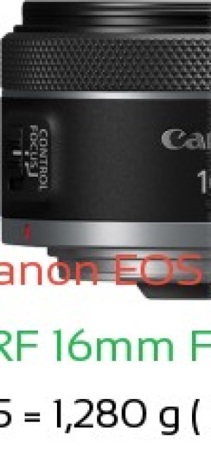 Canon R1 with Canon RF 16mm F2.8 STM Lens Size