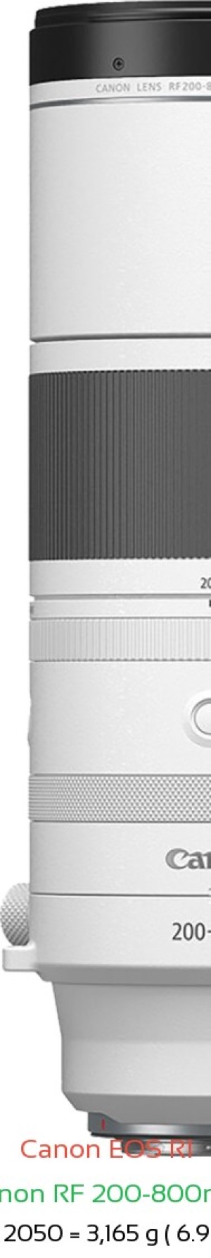 Canon R1 with Canon RF 200-800mm Lens Size