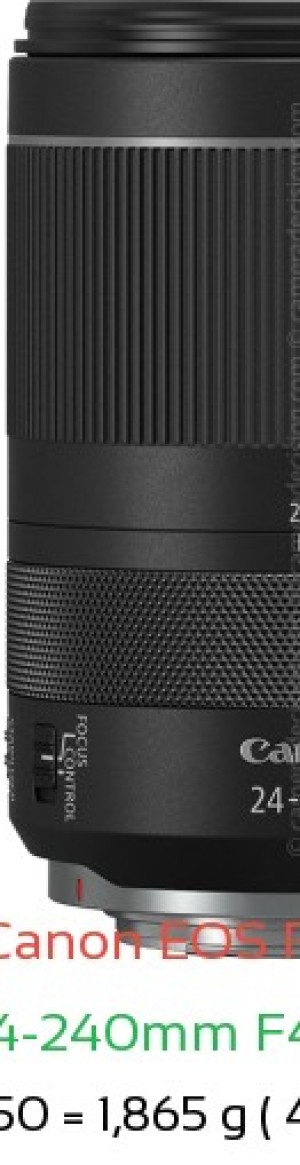 Canon R1 with Canon RF 24-240mm F4-6.3 Lens Size