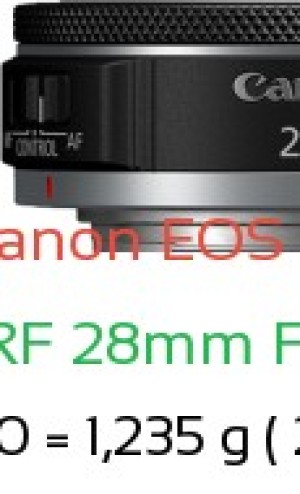 Canon R1 with Canon RF 28mm F2.8 STM Lens Size