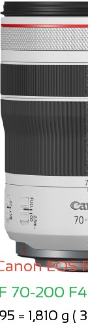 Canon R1 with Canon RF 70-200 F4L IS USM Lens Size