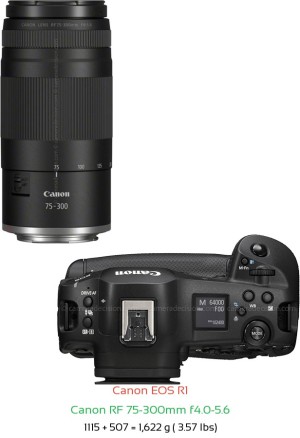 Canon R1 with Canon RF 75-300mm f4.0-5.6 Lens Size