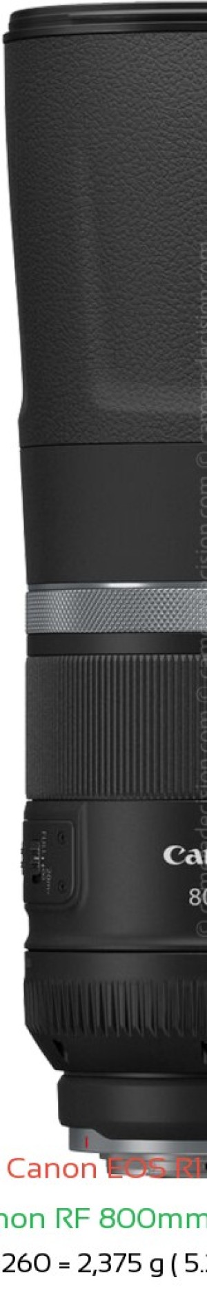 Canon R1 with Canon RF 800mm F11 Lens Size
