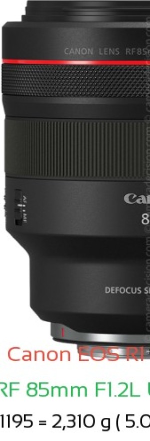 Canon R1 with Canon RF 85mm F1.2L USM DS Lens Size