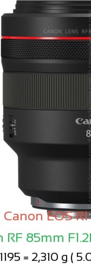 Canon R1 with Canon RF 85mm F1.2L USM Lens Size