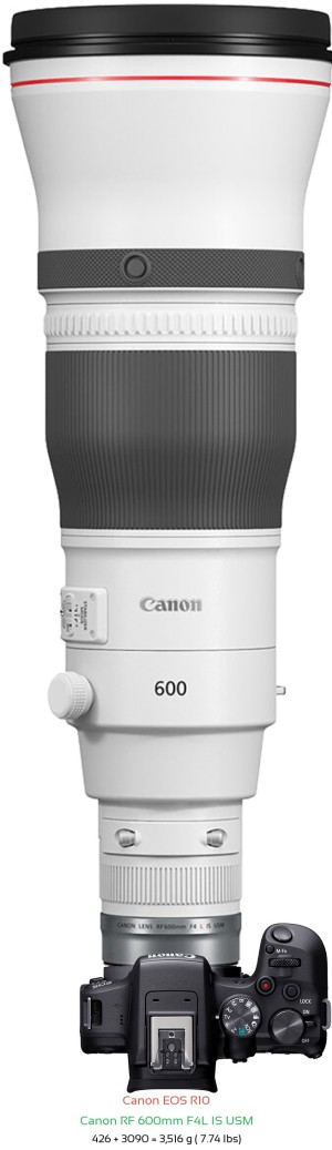 Canon R10 with Canon RF 600mm F4L Lens Size