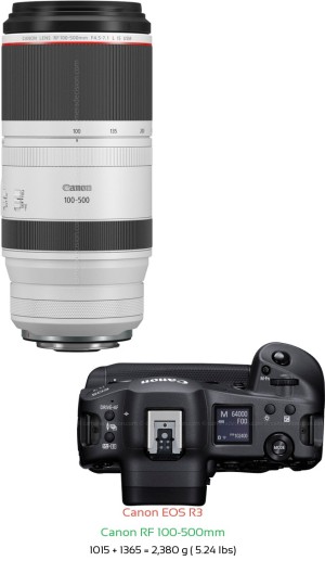 Canon R3 with Canon RF 100-500mm Lens Size