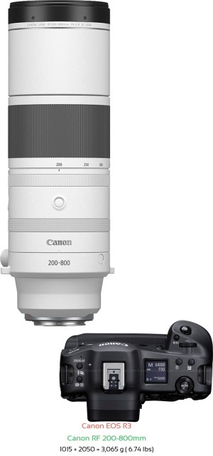 Canon R3 with Canon RF 200-800mm Lens Size