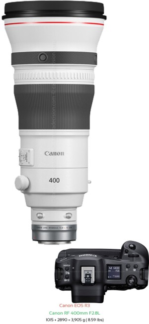 Canon R3 with Canon RF 400mm F2.8L Lens Size
