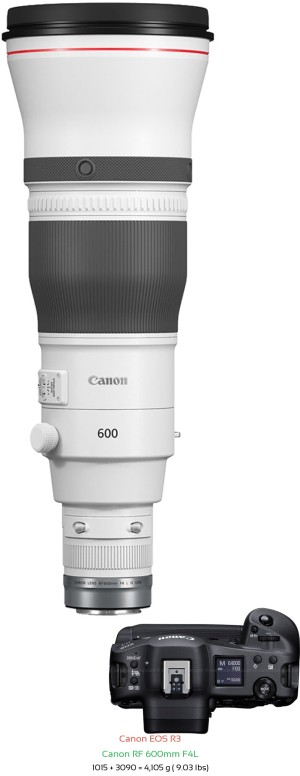 Canon R3 with Canon RF 600mm F4L Lens Size