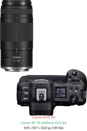 Canon R3 with Canon RF 75-300mm f4.0-5.6 Lens Size