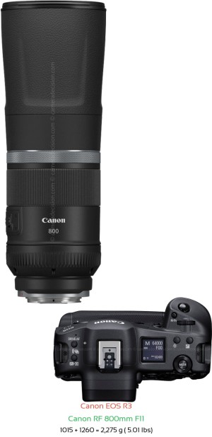 Canon R3 with Canon RF 800mm F11 Lens Size