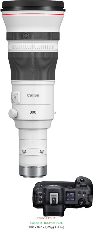 Canon R3 with Canon RF 800mm F5.6L Lens Size