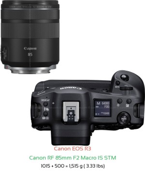 Canon R3 with Canon RF 85mm F2 Macro IS STM Lens Size