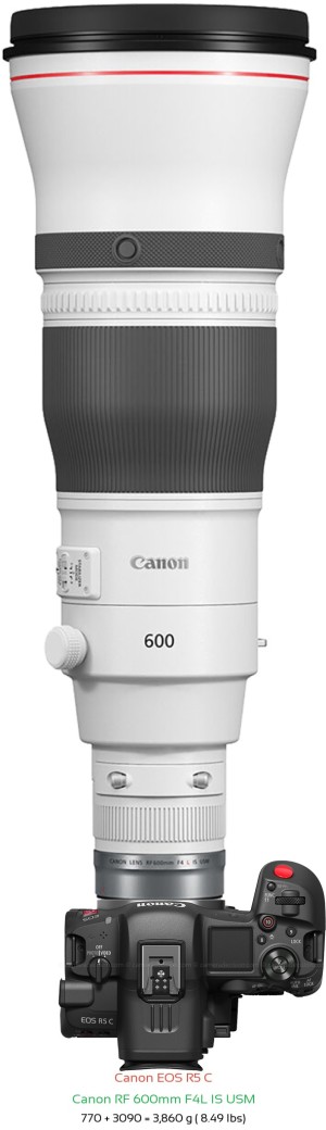 Canon R5 C with Canon RF 600mm F4L Lens Size