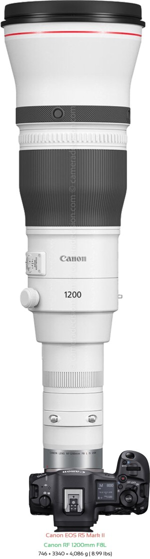 Canon R5 II with Canon RF 1200mm F8L Lens Size