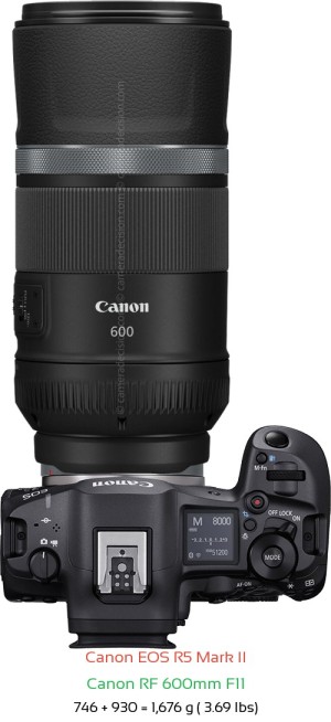 Canon R5 II with Canon RF 600mm F11 Lens Size