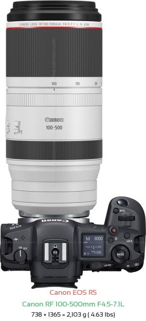 Canon R5 with Canon RF 100-500mm Lens Size