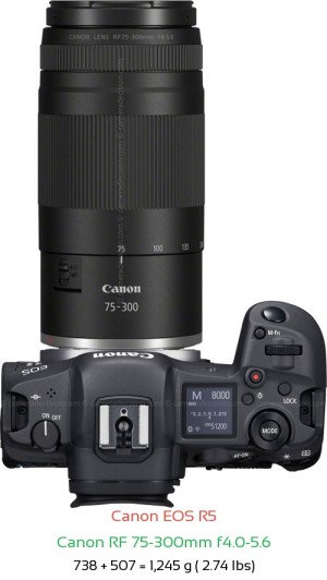 Canon R5 with Canon RF 75-300mm f4.0-5.6 Lens Size
